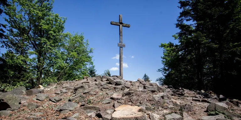 Лысица в горах Свентокрыжских