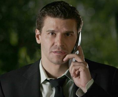 special-agent-seeley-booth