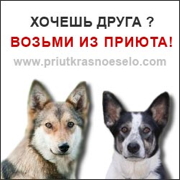 do_you_want_a_friend_250x250