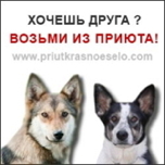 do_you_want_a_friend_250x2501
