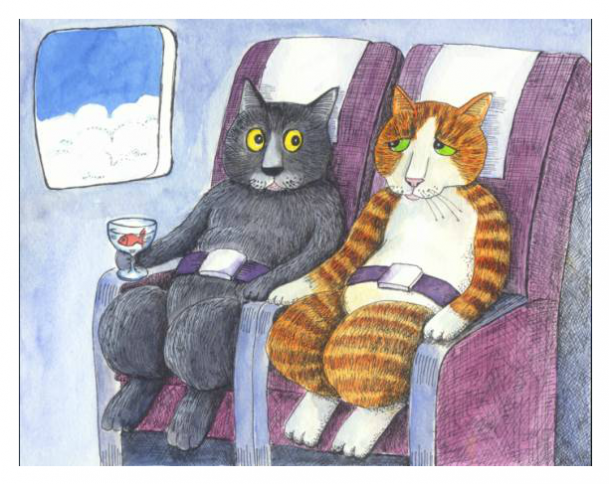 cats-ride-in-airplane-609x484-2