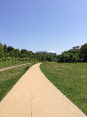 велодорожки в европе