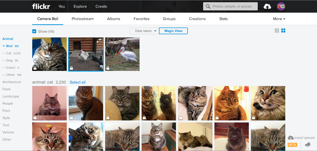 flickr-3