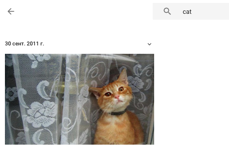 google-photos-2