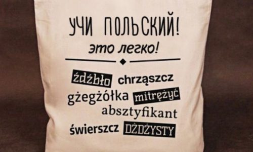 Учебники и самоучители польского языка