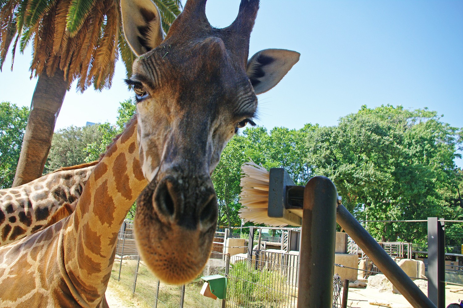 zoo zamosc