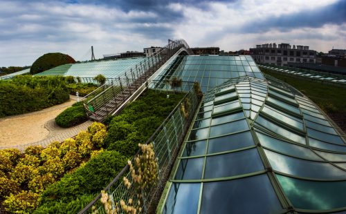 библиотека варшавского университета сад на крыше