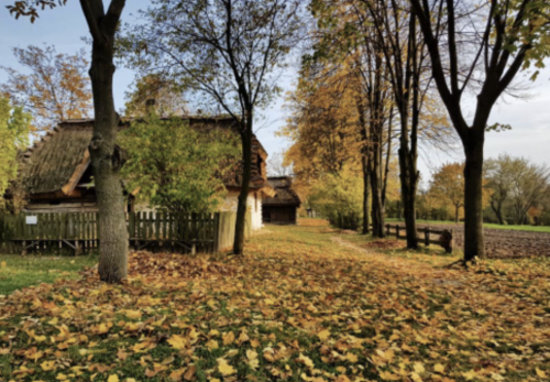 Muzeum Wsi lubelskiej