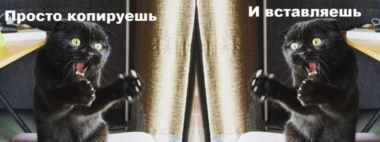 Как сделать ссылку на звонок Вконтакте?