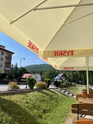 Niedźwiedź