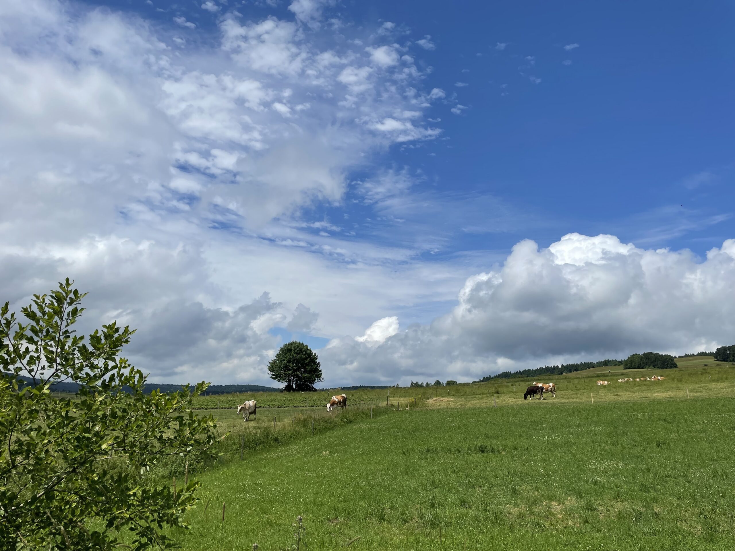 beskid