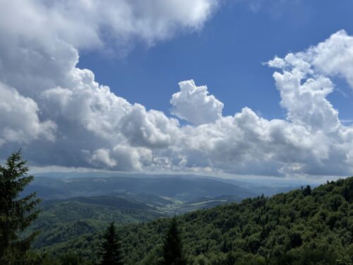 Jaworzyna Krynicka