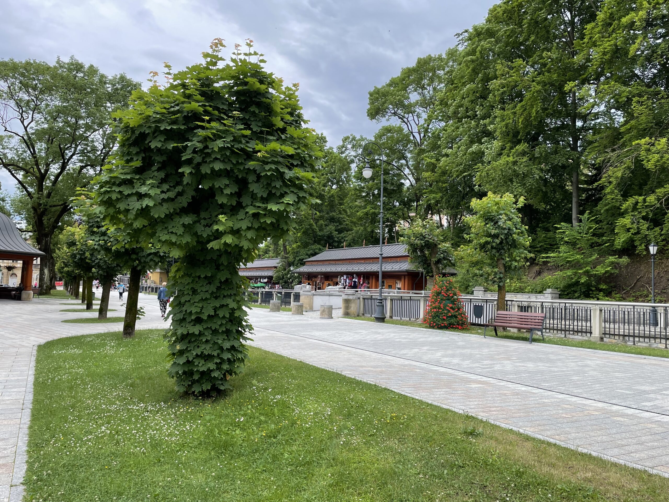 krynica zdrój