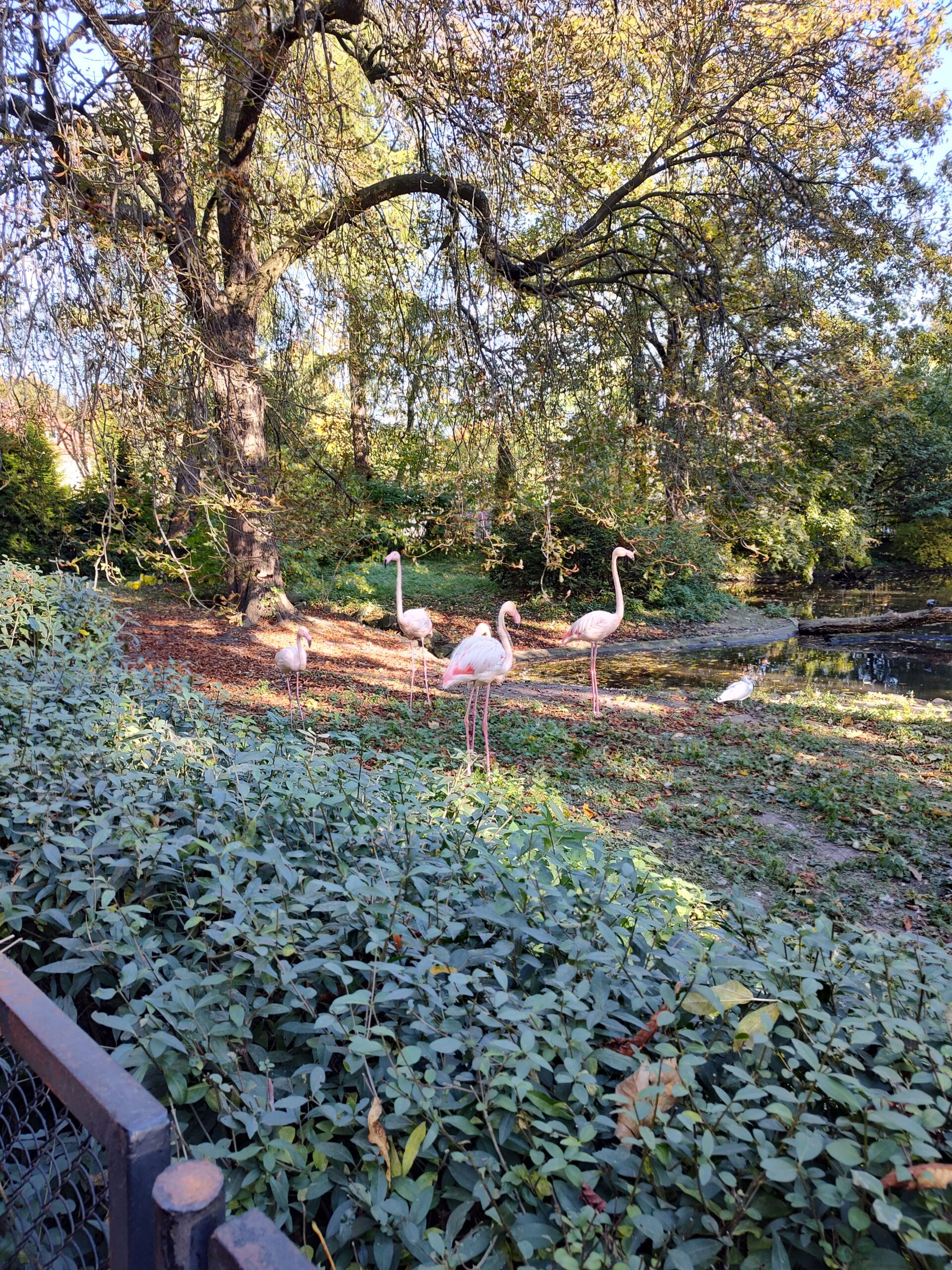 img_20211008_151125106_hdr