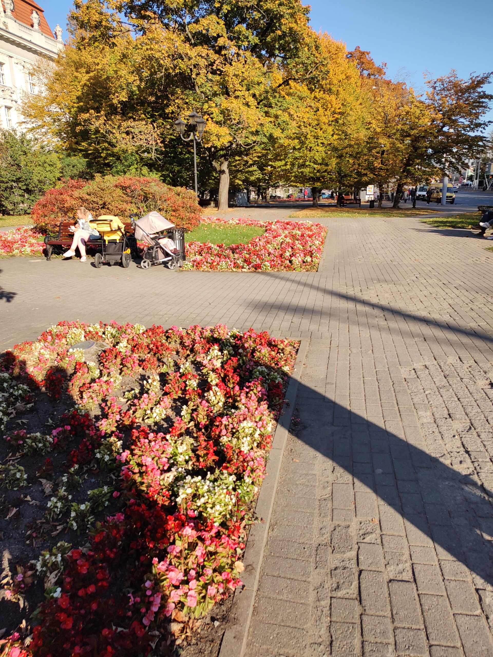 img_20211008_152853974