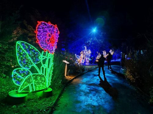 Lumina Park Lublin
