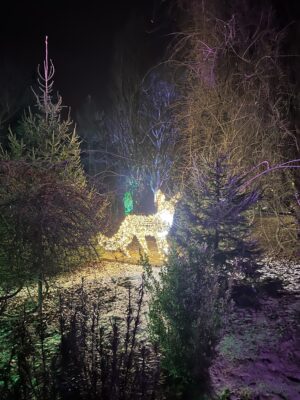 Lumina Park Lublin
