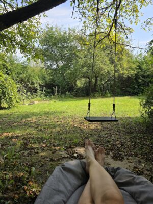 на огородике