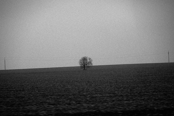 x_e0f6b100